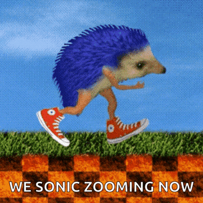 A Picture Of A Hedgehog With The Words We Sonic Zooming Now Underneath It GIF