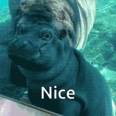 a picture of a hippopotamus with the word nice on it
