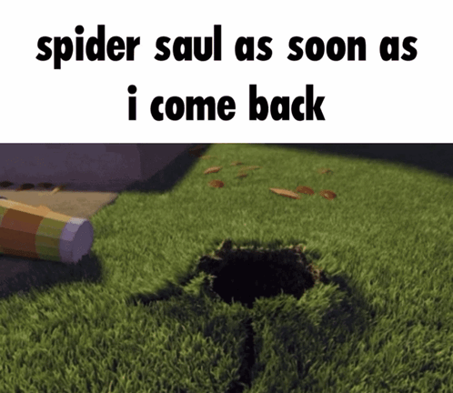 A Picture Of A Hole In The Grass With The Words Spider Saul As Soon As I Come Back Below It GIF