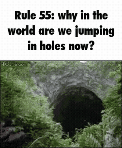 A Picture Of A Hole With The Caption Rule 55 Why In The World Are We Jumping In Holes Now GIF