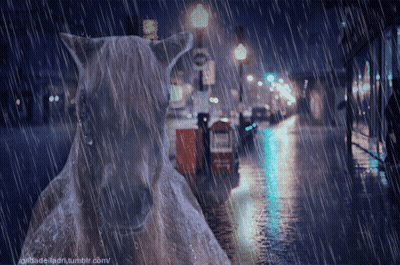 A Picture Of A Horse In The Rain With The Website Gilbadelladri.tumblr.com In The Corner GIF
