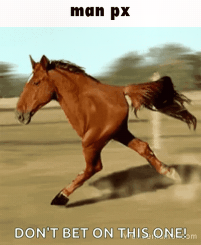 A Picture Of A Horse Running With The Caption " Man Px Don T Bet On This One " GIF