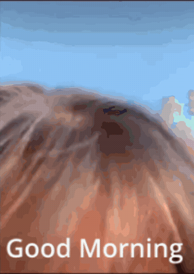 A Picture Of A Horse With The Words " Good Morning " Below It GIF
