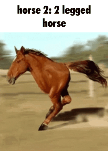 A Picture Of A Horse With The Words Horse 2 : 2 Legged Horse GIF