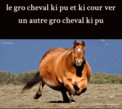 A Picture Of A Horse With The Words Le Gro Cheval Ki Pu Et Ki Cour Ver On The Bottom GIF