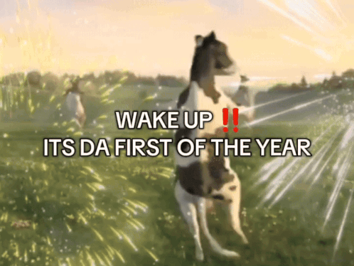 A Picture Of A Horse With The Words Wake Up Its Da First Of The Year Below It GIF