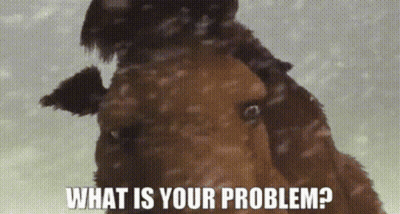 A Picture Of A Horse With The Words What Is Your Problem GIF