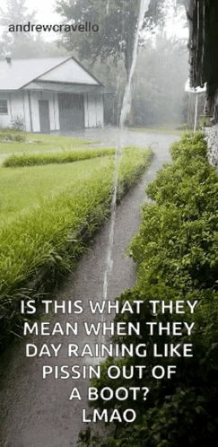 A Picture Of A House With The Caption Is This What They Mean GIF