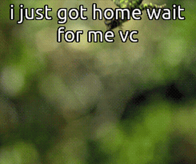 A Picture Of A Hummingbird With The Words " I Just Got Home Wait For Me Vc " Below It GIF
