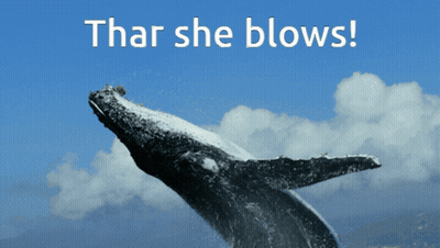 A Picture Of A Humpback Whale With The Words That She Blows Above It GIF