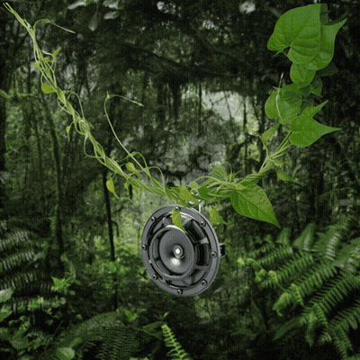 A Picture Of A Jungle With A Yellow R On It GIF