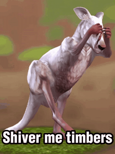 A Picture Of A Kangaroo With The Words " Shiver Me Timbers " Below It GIF