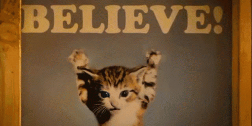 A Picture Of A Kitten Behind A Sign That Says Believe On It GIF