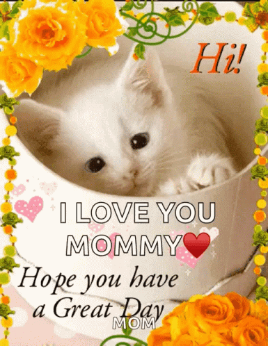 A Picture Of A Kitten In A Cup With The Words " I Love You Mommy Hope You Have A Great Day Mom " GIF