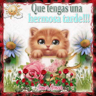 A Picture Of A Kitten In A Cup With The Words Que Tengas Una Hermosa Tarde !!! GIF