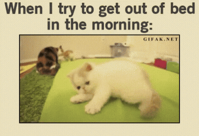 A Picture Of A Kitten Laying On A Bed With A Caption That Says When I Try To Get Out Of Bed In The Morning GIF