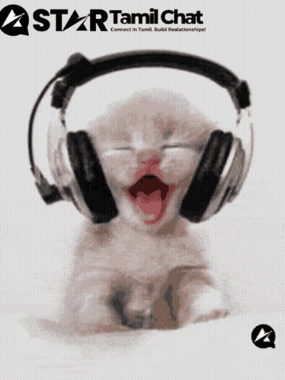 A Picture Of A Kitten Wearing Headphones That Says Star Tamil Chat On The Bottom GIF
