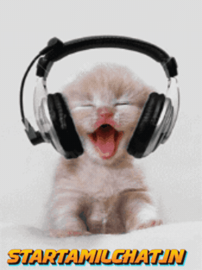 A Picture Of A Kitten Wearing Headphones With The Words Startamilechatin Underneath GIF