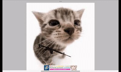 A Picture Of A Kitten With A Gun In Its Mouth And An Advertisement For Ipaint GIF