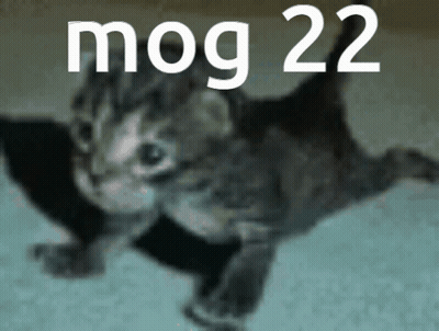 A Picture Of A Kitten With The Word Mog 22 Written Above It GIF