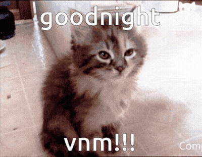 A Picture Of A Kitten With The Words Goodnight Vnm !!! GIF
