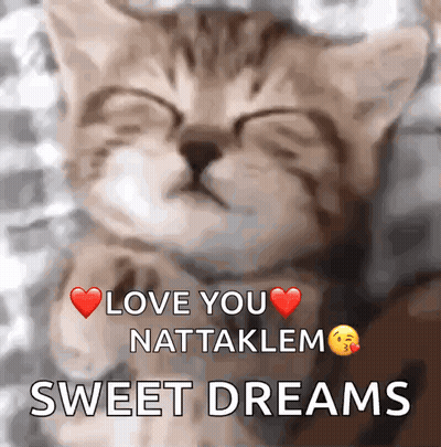 A Picture Of A Kitten With The Words Love You Nattaklem Sweet Dreams GIF