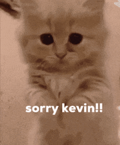 A Picture Of A Kitten With The Words Sorry Kevin On It GIF
