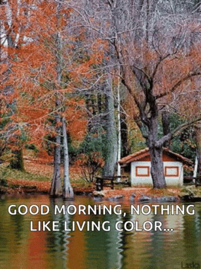 A Picture Of A Lake With Trees And A House In The Background With The Caption Good Morning Nothing Like Living Color GIF