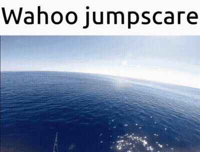 A Picture Of A Large Body Of Water With The Words Wahoo Jumpscare Above It GIF