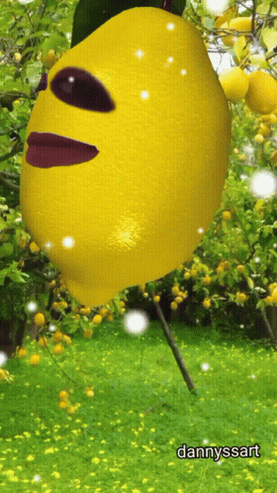 A Picture Of A Lemon With A Face And The Name Dannyssart Below It GIF