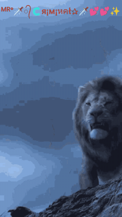 A Picture Of A Lion With The Words Mr On The Top GIF