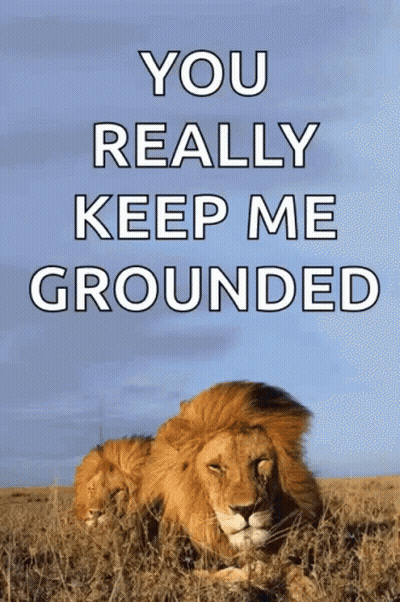 A Picture Of A Lion With The Words You Really Keep Me Grounded Above It GIF