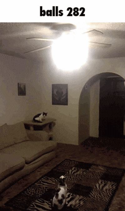 A Picture Of A Living Room With A Ceiling Fan And The Words Balls 282 GIF