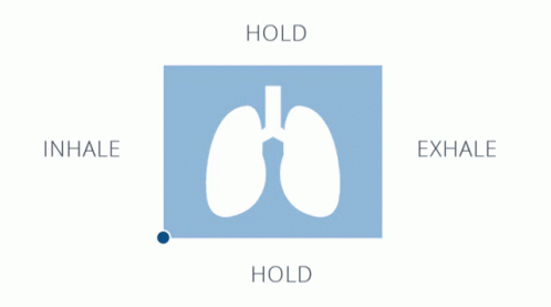 A Picture Of A Lung With The Words Hold Inhale Exhale GIF