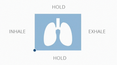 A Picture Of A Lung With The Words Hold Inhale Exhale GIF