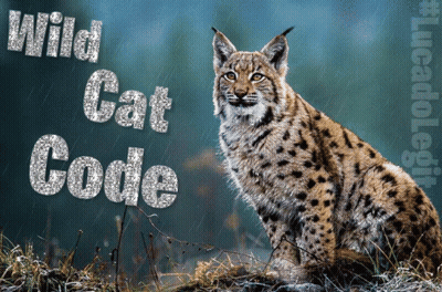 A Picture Of A Lynx With The Words Wild Cat Code Written Above It GIF