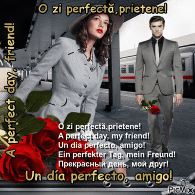 A Picture Of A Man And A Woman With Roses And The Words Perfect Day GIF