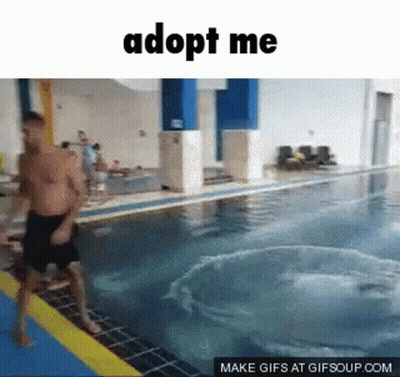 A Picture Of A Man Jumping Into A Swimming Pool With The Words Adopt Me Above Him GIF