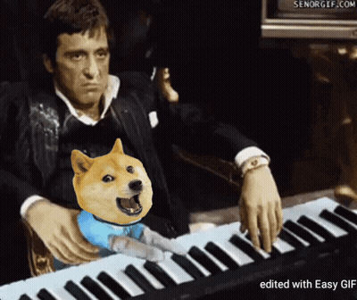 A Picture Of A Man Playing A Piano With A Dog On His Lap GIF