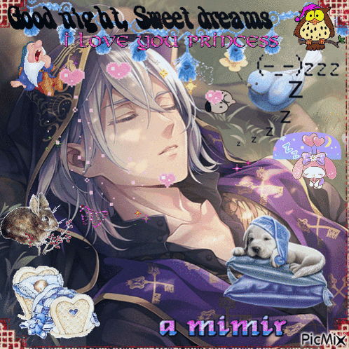 A Picture Of A Man Sleeping With The Words Good Night Sweet Dreams I Love You Princess On It GIF