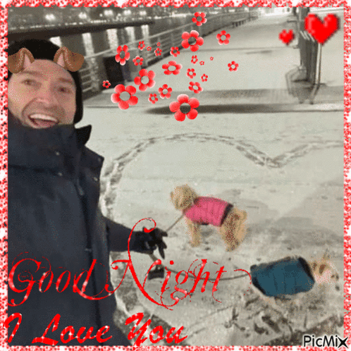 A Picture Of A Man Walking Two Dogs With The Words Good Night I Love You GIF