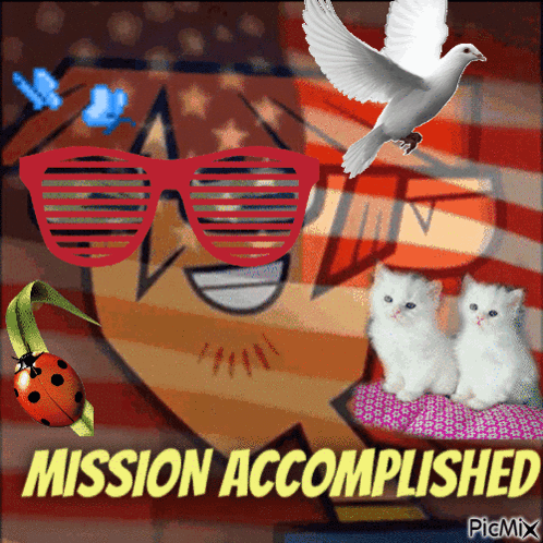 A Picture Of A Man Wearing Sunglasses And Two Kittens With The Words Mission Accomplished GIF