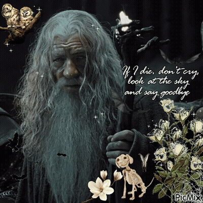 A Picture Of A Man With A Beard And The Words If I Die Don T Cry GIF