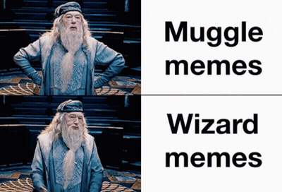A Picture Of A Man With A Beard And The Words Muggle Memes And Wizard Memes On The Bottom GIF
