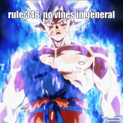 A Picture Of A Man With A Caption That Says Rule 348 No Vines In General GIF