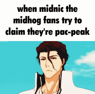 A Picture Of A Man With A Caption That Says When Midnic The Midhog Fans GIF