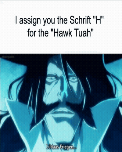A Picture Of A Man With A Mustache And The Words " I Assign You The Schrift " H " For The " Hawk Tuah " GIF