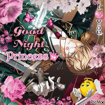 A Picture Of A Man With A Sword And The Words " Good Night Princess " On It GIF