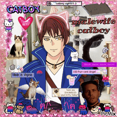 A Picture Of A Man With Cat Ears Is Surrounded By Cats And The Words Catboy Malewife Catboy GIF