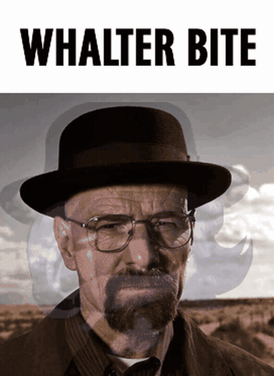 A Picture Of A Man With Glasses And A Hat With The Words Walter Bite Below Him GIF